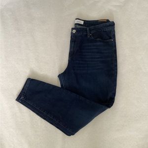 Levi Signature Mid-Rise Skinny Jeans, Size 32 (10-12)